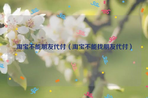 淘宝不能朋友代付（淘宝不能找朋友代付）