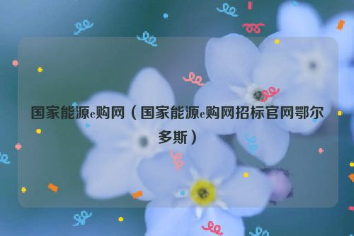 国家能源e购网（国家能源e购网招标官网鄂尔多斯）