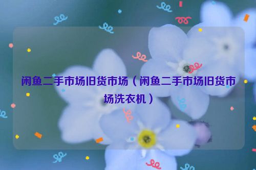 闲鱼二手市场旧货市场（闲鱼二手市场旧货市场洗衣机）