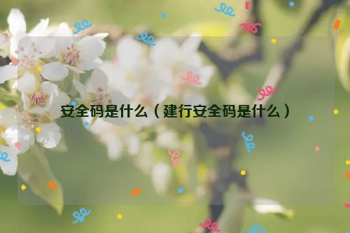 安全码是什么（建行安全码是什么）