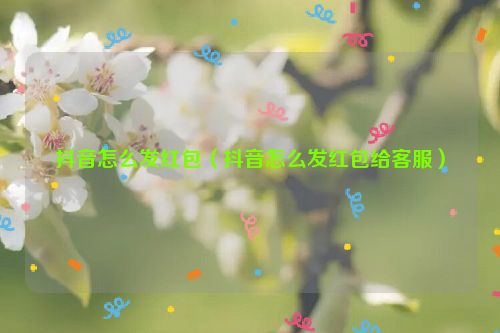 抖音怎么发红包（抖音怎么发红包给客服）