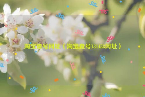 淘宝查号网址（淘宝查号131458网址）