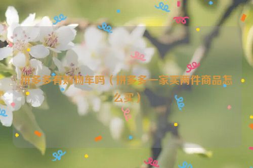 拼多多有购物车吗（拼多多一家买两件商品怎么买）