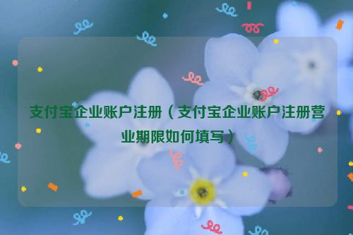 支付宝企业账户注册（支付宝企业账户注册营业期限如何填写）