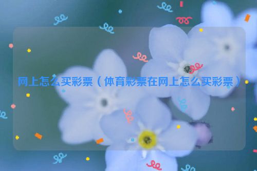 网上怎么买彩票（体育彩票在网上怎么买彩票）