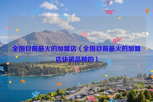 全国目前最火的加盟店（全国目前最火的加盟店快销品种的）