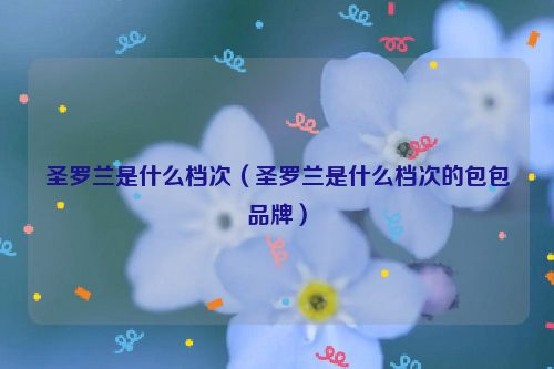 圣罗兰是什么档次（圣罗兰是什么档次的包包品牌）