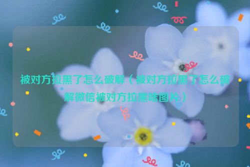 被对方拉黑了怎么破解（被对方拉黑了怎么破解微信被对方拉黑啥图片）