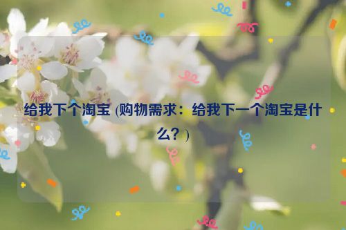 给我下个淘宝 (购物需求：给我下一个淘宝是什么？)
