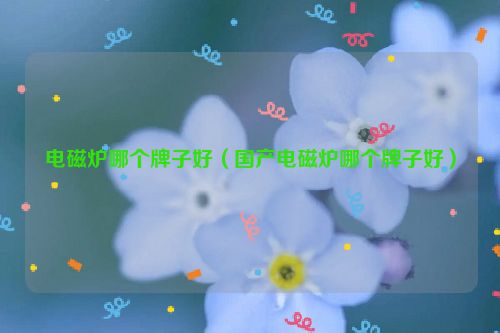 电磁炉哪个牌子好（国产电磁炉哪个牌子好）