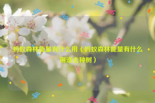 蚂蚁森林能量有什么用（蚂蚁森林能量有什么用谁去种树）