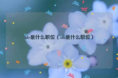 sde是什么职位（sdo是什么职位）