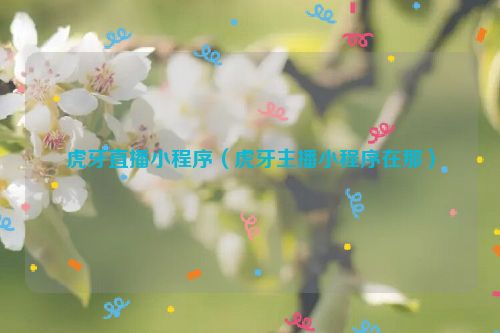 虎牙直播小程序（虎牙主播小程序在那）