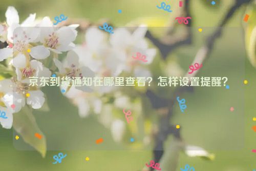 京东到货通知在哪里查看？怎样设置提醒？
