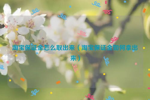 淘宝保证金怎么取出来（淘宝保证金如何拿出来）