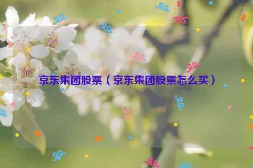 京东集团股票（京东集团股票怎么买）