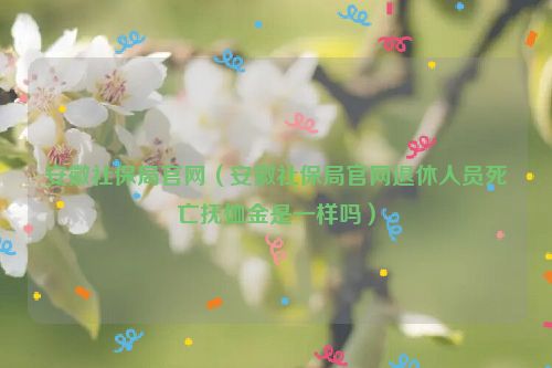 安徽社保局官网（安徽社保局官网退休人员死亡抚恤金是一样吗）