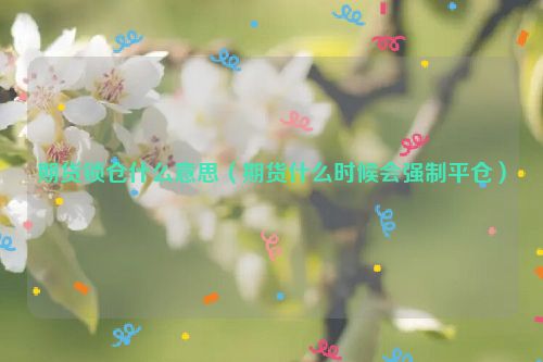 期货锁仓什么意思（期货什么时候会强制平仓）