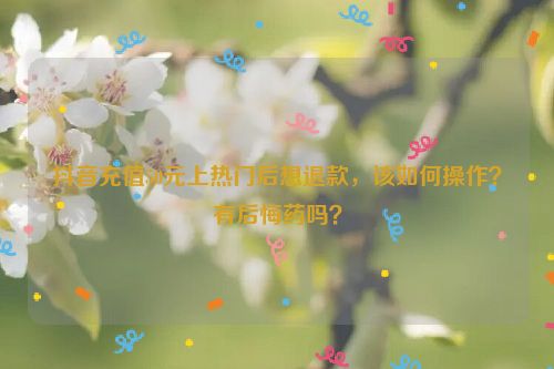抖音充值50元上热门后想退款，该如何操作？有后悔药吗？