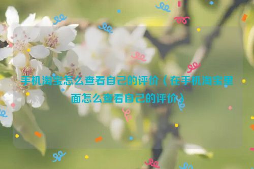 手机淘宝怎么查看自己的评价（在手机淘宝里面怎么查看自己的评价）