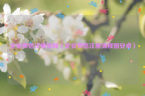 企业微信注册流程（企业微信注册流程图安卓）