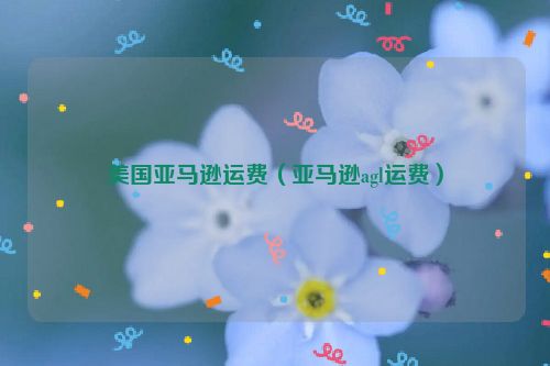 美国亚马逊运费（亚马逊agl运费）