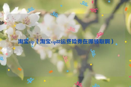 淘宝vip（淘宝vip88运费险券在哪领取啊）