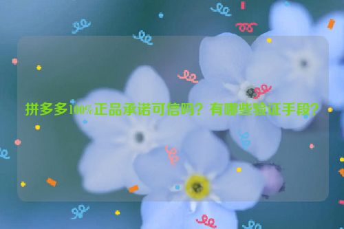 拼多多100%正品承诺可信吗？有哪些验证手段？