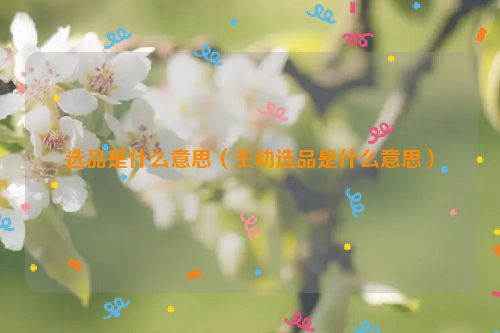 选品是什么意思（主动选品是什么意思）