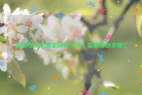 如何在京东查看闪付卡号？需要哪些步骤？
