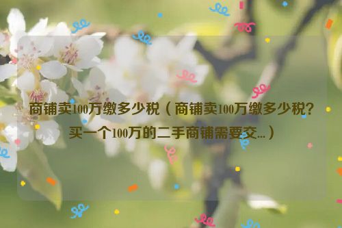 商铺卖100万缴多少税（商铺卖100万缴多少税？买一个100万的二手商铺需要交...）