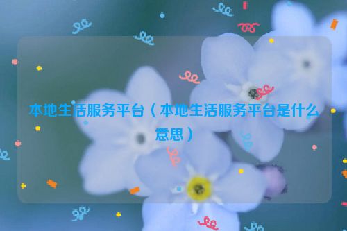本地生活服务平台（本地生活服务平台是什么意思）