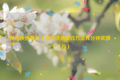 如何快速赚钱（如何快速赚钱方法几分钟就赚十几万）