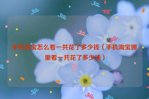 手机淘宝怎么看一共花了多少钱（手机淘宝哪里看一共花了多少钱）