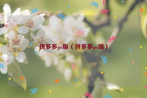 拼多多pc版（拼多多pc端）