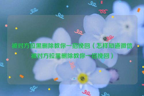 被对方拉黑删除教你一招挽回（怎样知道微信被对方拉黑删除教你一招挽回）