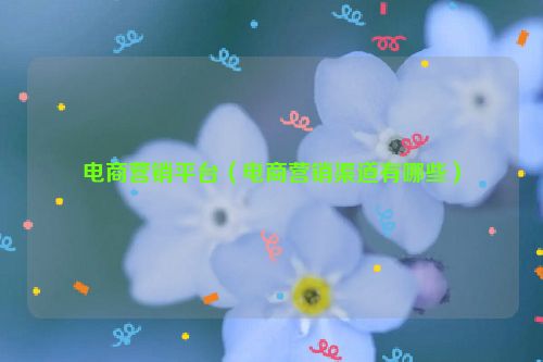 电商营销平台（电商营销渠道有哪些）