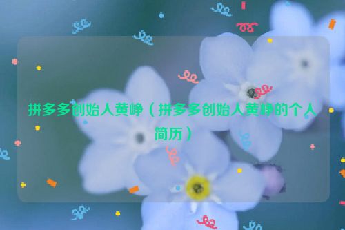 拼多多创始人黄峥（拼多多创始人黄峥的个人简历）