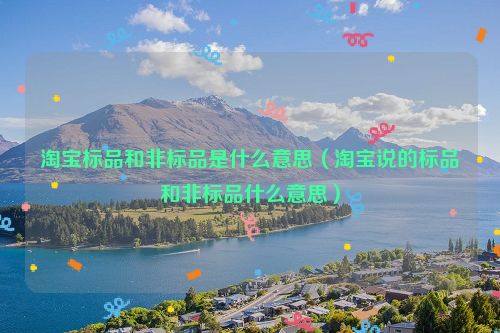 淘宝标品和非标品是什么意思（淘宝说的标品和非标品什么意思）