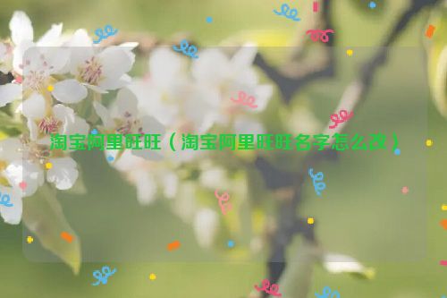 淘宝阿里旺旺（淘宝阿里旺旺名字怎么改）