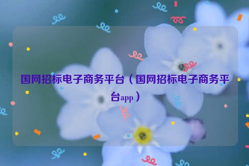 国网招标电子商务平台（国网招标电子商务平台app）