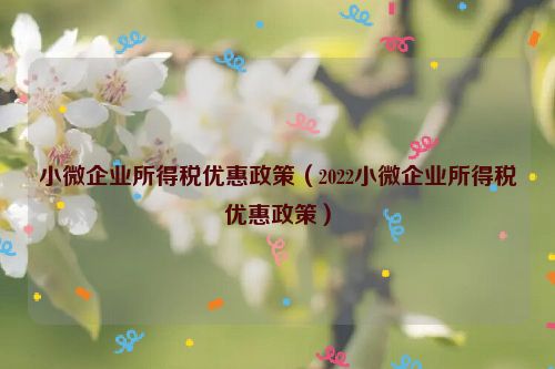 小微企业所得税优惠政策（2022小微企业所得税优惠政策）