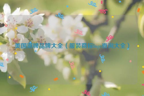 美国潮牌品牌大全（服装商标logo查询大全）