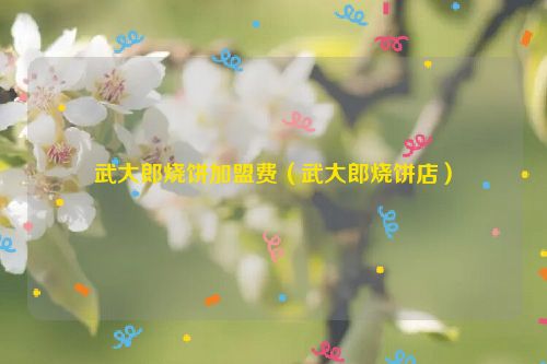 武大郎烧饼加盟费（武大郎烧饼店）