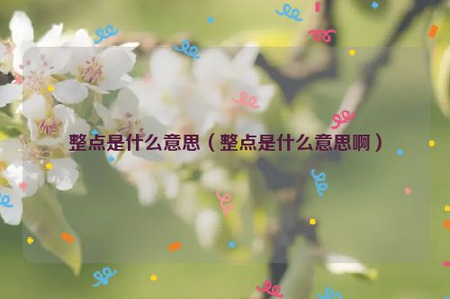整点是什么意思（整点是什么意思啊）