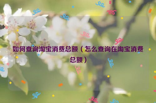 如何查询淘宝消费总额（怎么查询在淘宝消费总额）