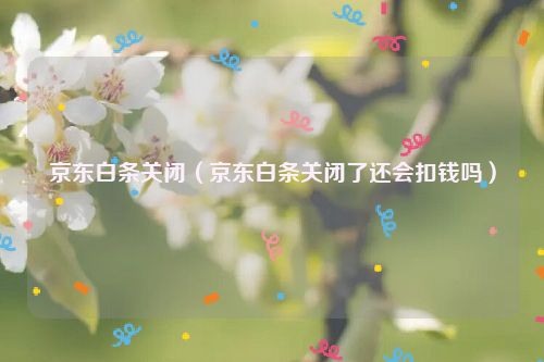 京东白条关闭（京东白条关闭了还会扣钱吗）