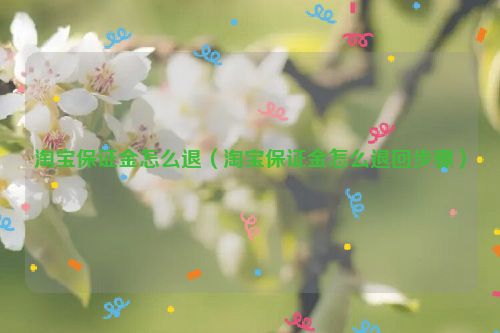 淘宝保证金怎么退（淘宝保证金怎么退回步骤）