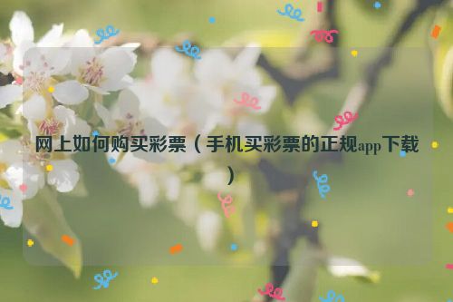 网上如何购买彩票（手机买彩票的正规app下载）