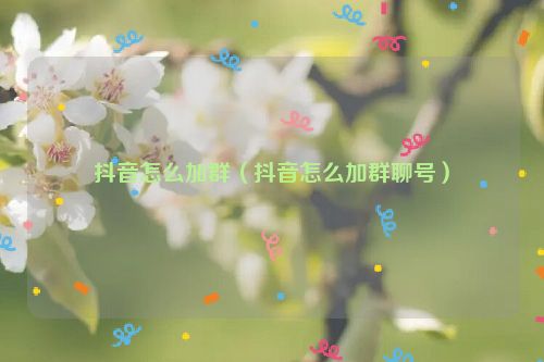 抖音怎么加群（抖音怎么加群聊号）